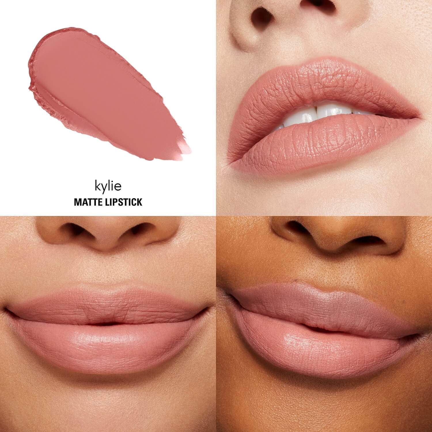 MATTE LIPSTICK (LABIAL MATTE EN BARRA)